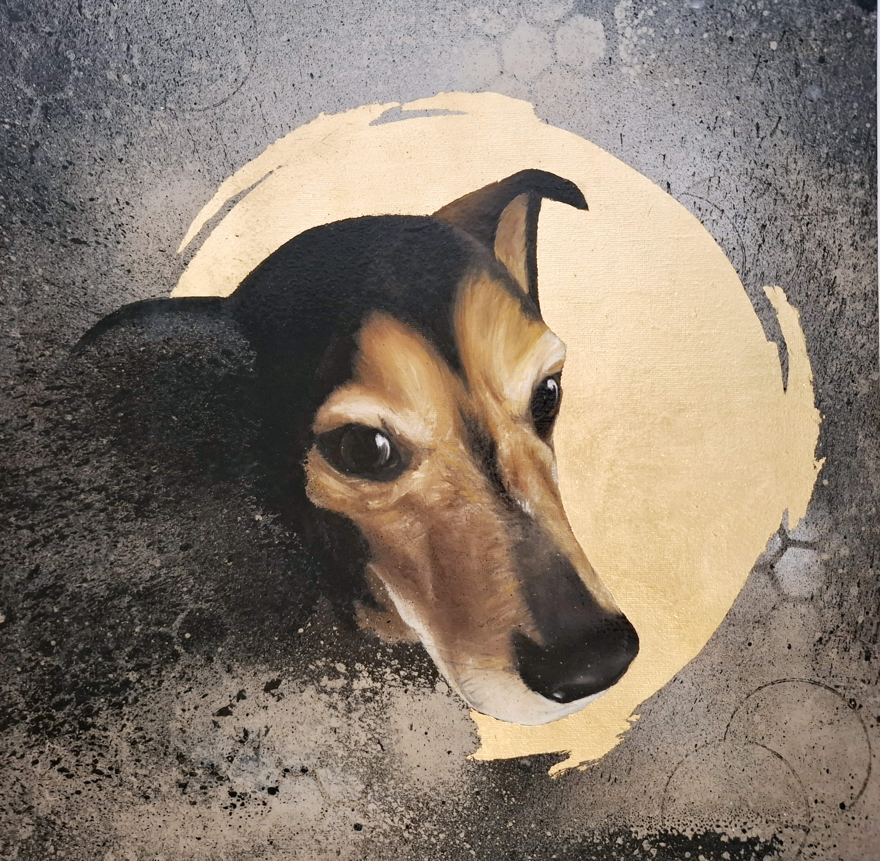 Hundeportrait detail image